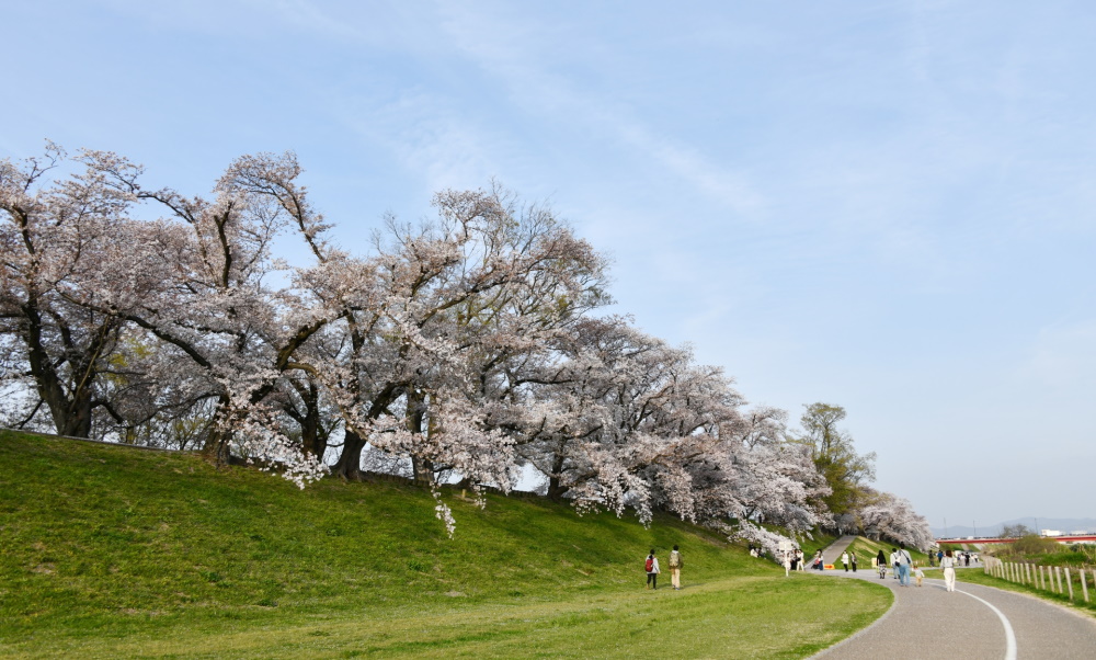 京都