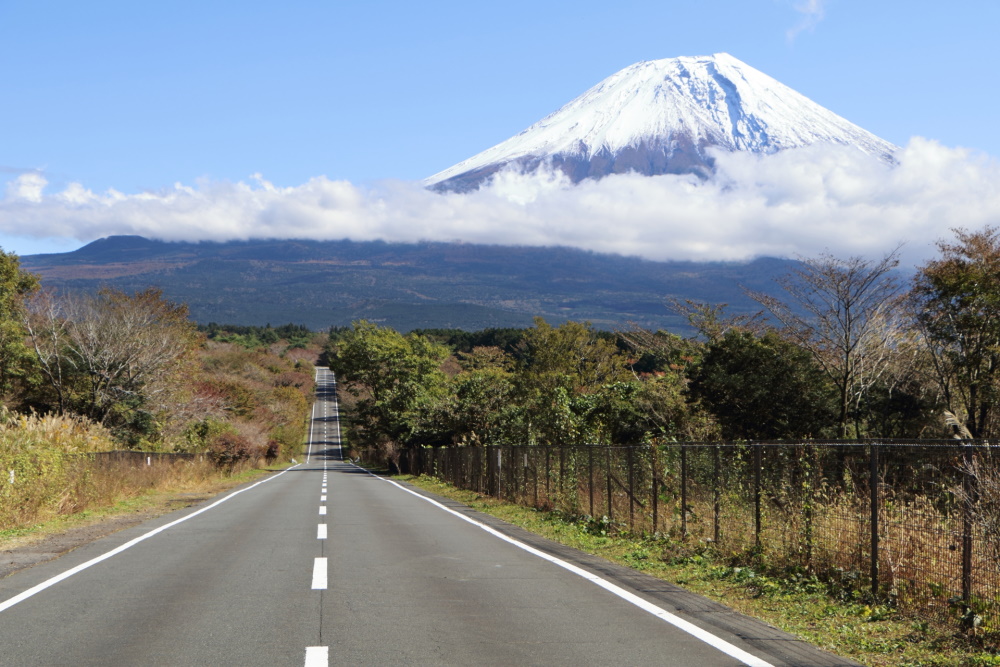 11月におすすめの国内旅行ランキング