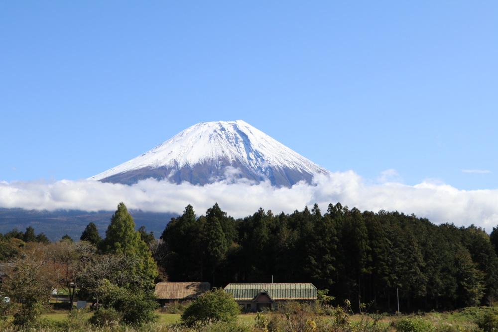 12月におすすめの国内旅行