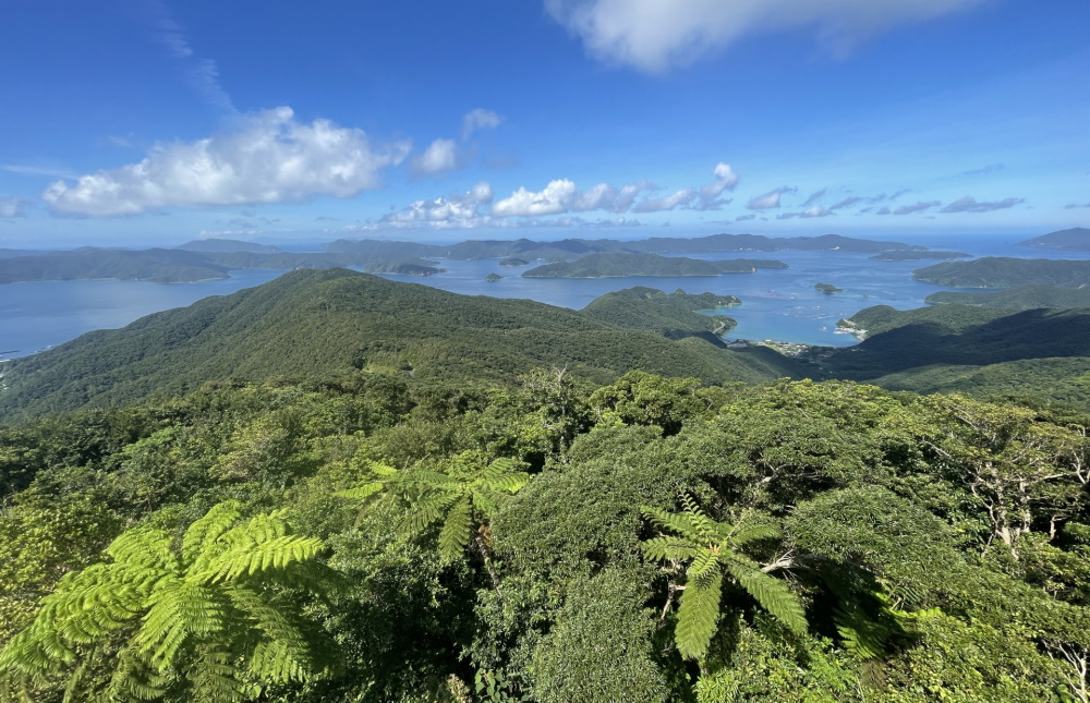 奄美大島